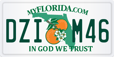 FL license plate DZIM46