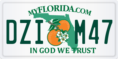 FL license plate DZIM47