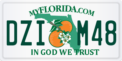 FL license plate DZIM48