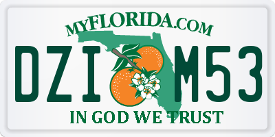 FL license plate DZIM53