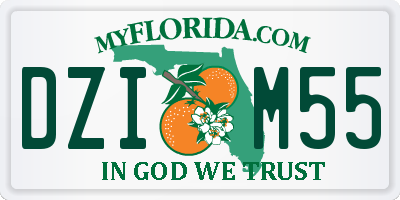 FL license plate DZIM55