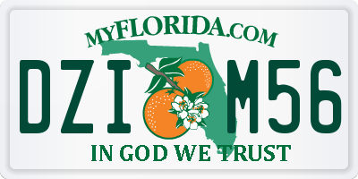 FL license plate DZIM56