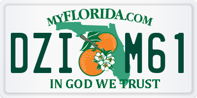 FL license plate DZIM61