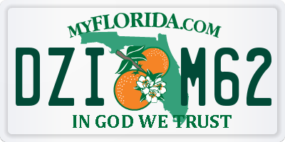 FL license plate DZIM62