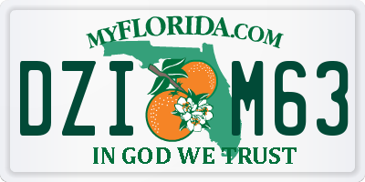 FL license plate DZIM63