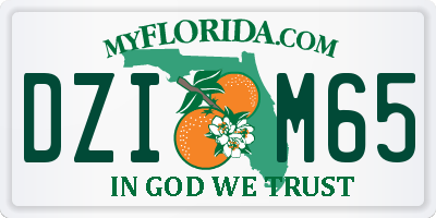 FL license plate DZIM65