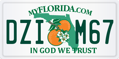 FL license plate DZIM67
