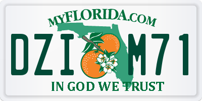 FL license plate DZIM71