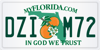 FL license plate DZIM72