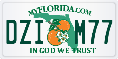 FL license plate DZIM77