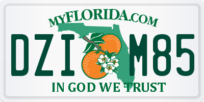 FL license plate DZIM85