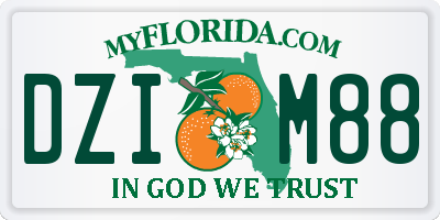 FL license plate DZIM88