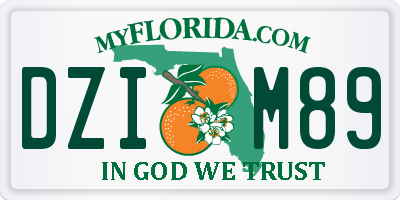 FL license plate DZIM89