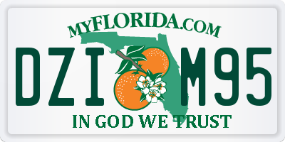 FL license plate DZIM95