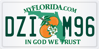 FL license plate DZIM96