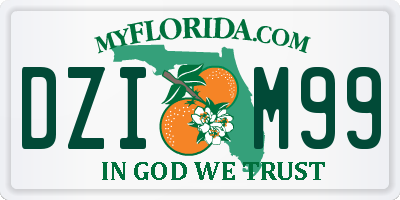 FL license plate DZIM99
