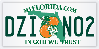 FL license plate DZIN02