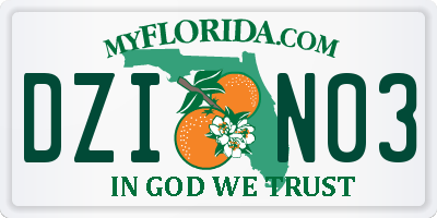 FL license plate DZIN03
