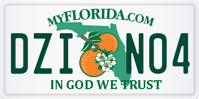 FL license plate DZIN04