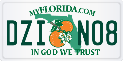 FL license plate DZIN08