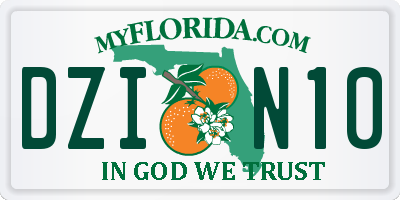 FL license plate DZIN10