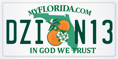 FL license plate DZIN13