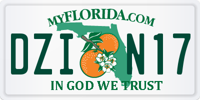 FL license plate DZIN17