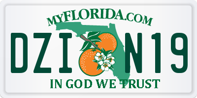 FL license plate DZIN19