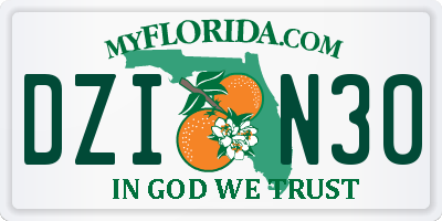FL license plate DZIN30