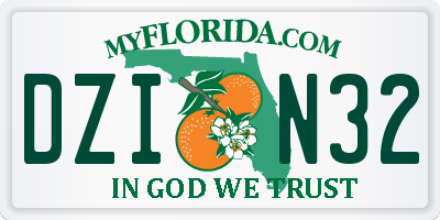 FL license plate DZIN32