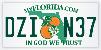 FL license plate DZIN37