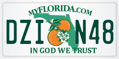 FL license plate DZIN48
