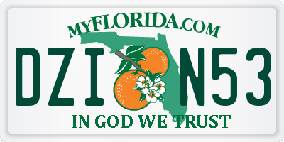 FL license plate DZIN53