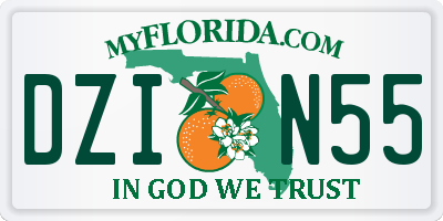 FL license plate DZIN55