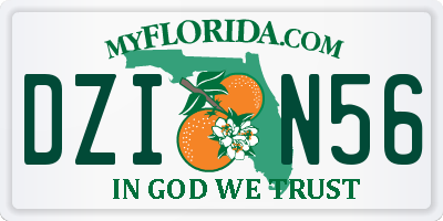 FL license plate DZIN56
