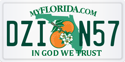 FL license plate DZIN57