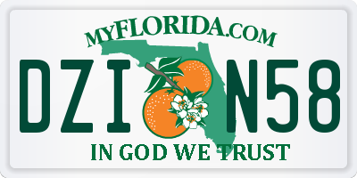 FL license plate DZIN58