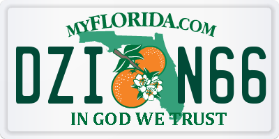 FL license plate DZIN66