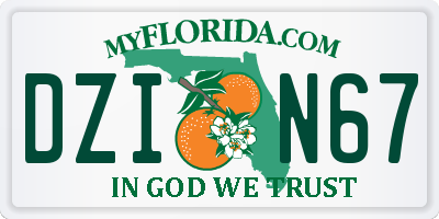 FL license plate DZIN67