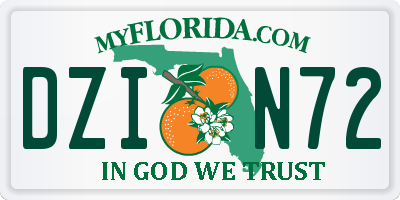 FL license plate DZIN72