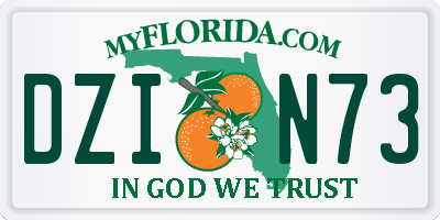 FL license plate DZIN73