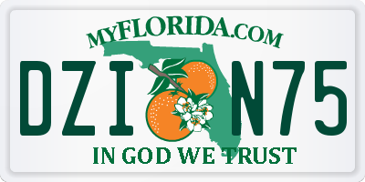 FL license plate DZIN75