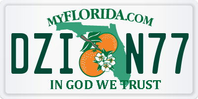 FL license plate DZIN77