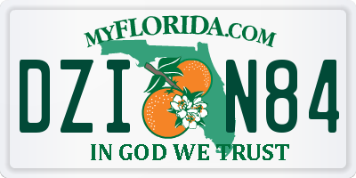 FL license plate DZIN84