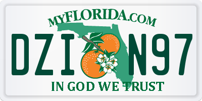 FL license plate DZIN97