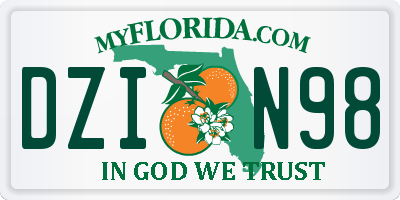 FL license plate DZIN98