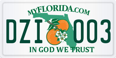 FL license plate DZIO03