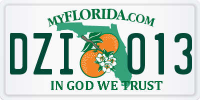 FL license plate DZIO13