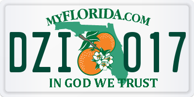 FL license plate DZIO17