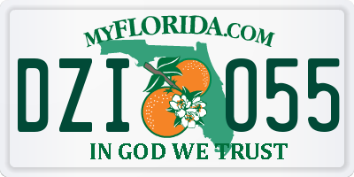 FL license plate DZIO55